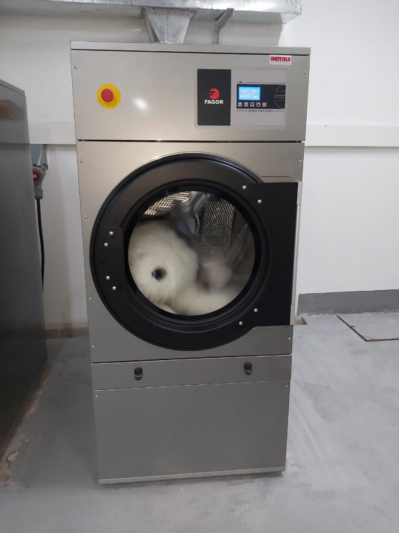 Purple Haze Laundry